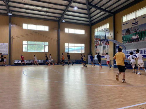 2020年度豐臺區(qū)青少年各項(xiàng)目運(yùn)動隊(duì)暑期集訓(xùn)工作圓滿完成