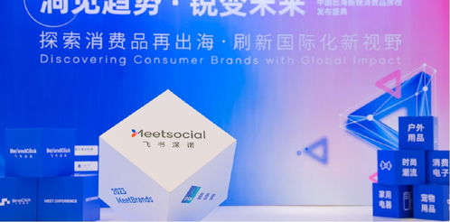 新品類、新渠道、新技術(shù) 飛書深諾沈晨崗談出海品牌如何借數(shù)字技術(shù)服務(wù)開啟新故事